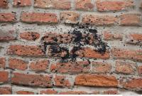 wall bricks dirty